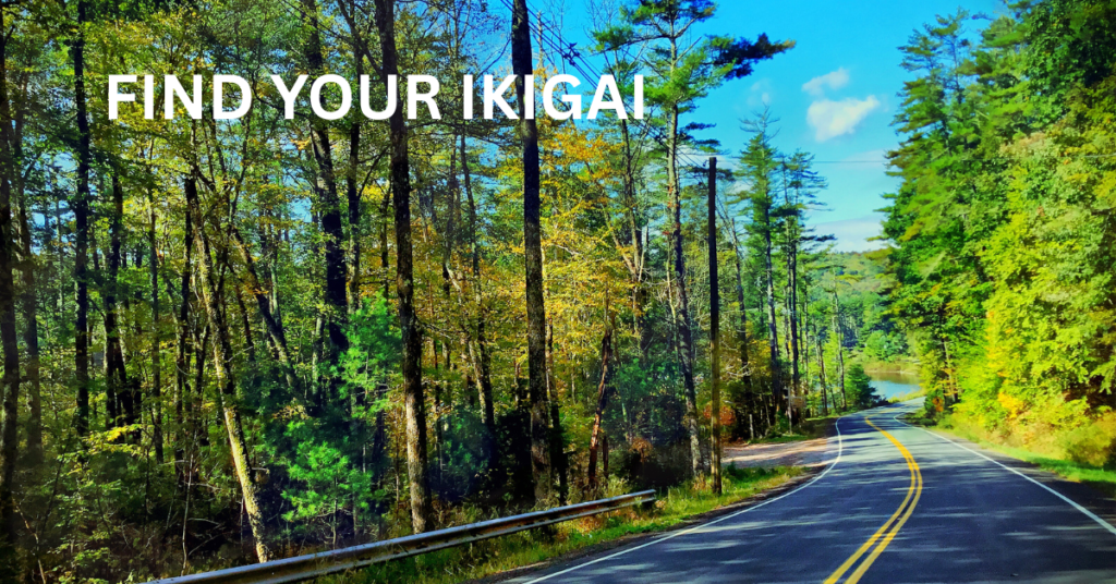 Find your IKIGAI