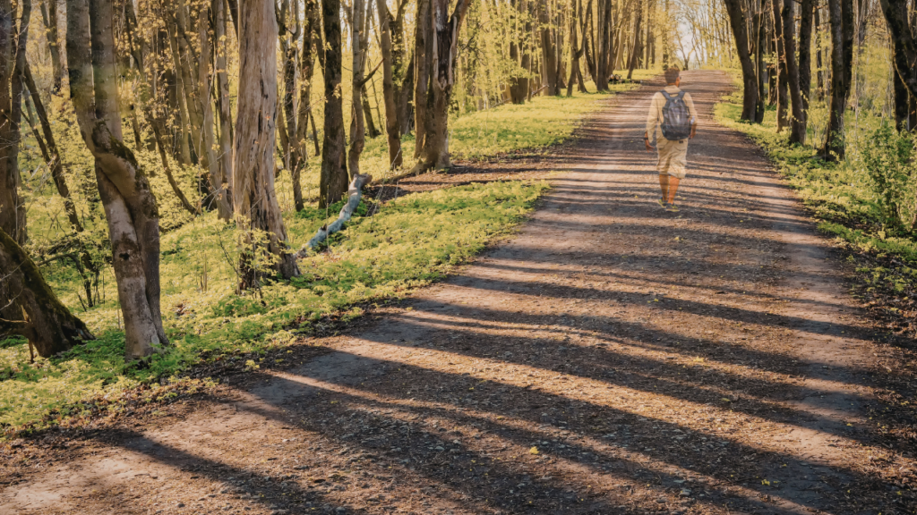 Untitled design (20)